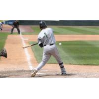 Vladimir Frias of the Long Island Ducks