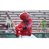 Israel Pineda drove in the go-ahead run in the eighth inning in the Hagerstown Suns' 5-3 win over Columbia Sunday