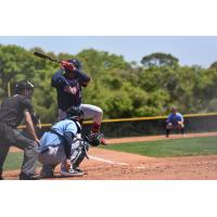 Royce Lewis in spring training