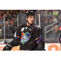 Orlando Solar Bears forward Chase Witala