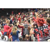 Jacksonville Sharks fans cheer on their team