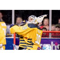 Georgia Swarm goaltender Mike Poulin