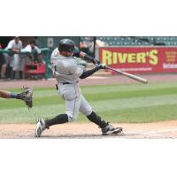 L.J. Mazzilli of the Long Island Ducks
