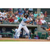 D.J. Artis of the Myrtle Beach Pelicans