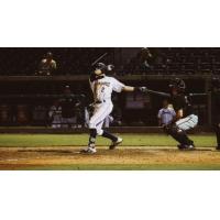 Charleston RiverDogs center fielder Brandon Lockridge