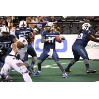 Baltimore Brigade quarterback Shane Morris against the Albany Empire