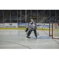 Evansville Thunderbolts goaltender Braeden Ostepchuk