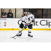 Wheeling Nailers defenseman Aaron Titcomb
