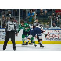Florida Everblades forward Kyle 