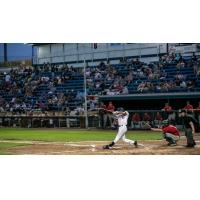 Ryan Johnston of the Walla Walla Sweets at bat