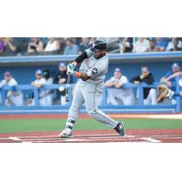 Hector Sanchez of the Long Island Ducks