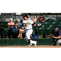 Keinner Pina of the Burlington Bees