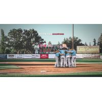 St. Cloud Rox celebrate a playoff berth