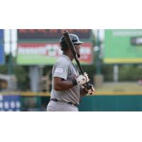 Deibinson Romero of the Long Island Ducks