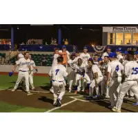 Green Bay Booyah celebrate a walk-off win