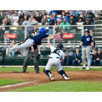 Portland Pickles game action