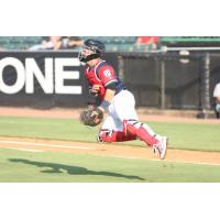 Jackson Generals catcher Daulton Varsho