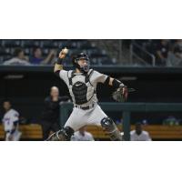 Jackson Generals catcher Daulton Varsho