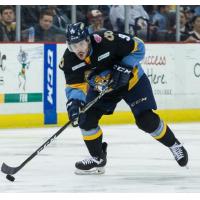Forward Chris Crane with the Toledo Walleye
