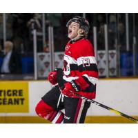 Centre Sam Bitten with the Ottawa 67's