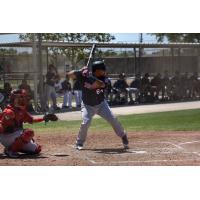 Utility man Willians Astudillo in Minnesota Twins spring training