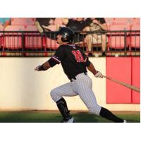 Anthony Auletta of the New Jersey Jackals