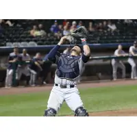Somerset Patriots catcher Yovan Gonzalez