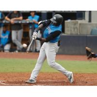 Estevan Florial of the Tampa Tarpons