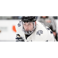 Forward Ara Nazarian with the University of New Hampshire