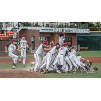Corvallis Knights celebrate fourth straight WCL title