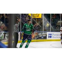 Florida Everblades defenseman Logan Roe
