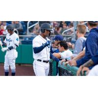 Everett AquaSox enter the dugout
