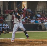 Mario Feliciano of the Carolina Mudcats