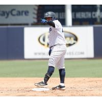 Alexander Palma of the Tampa Tarpons