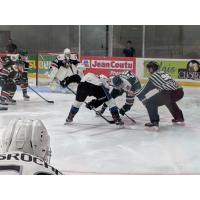 Halifax Mooseheads vs. the Saint John Sea Dogs