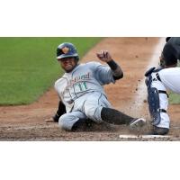 L.J. Mazzilli of the Long Island Ducks slides into home