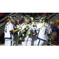 Chesapeake BayHawks huddle up after a goal