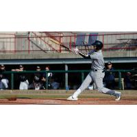 Livan Soto of the Burlington Bees