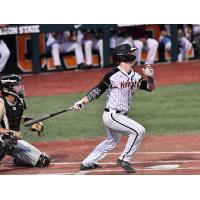Briley Knight of the Corvallis Knights