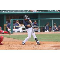 San Antonio Missions catcher David Freitas