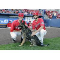 Spokane Indians Bark in the Park Night