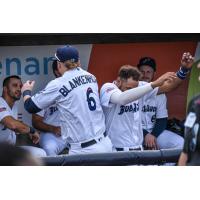 Travis Blankenhorn receives congratulations in the Pensacola Blue Wahoos dugout after scoring