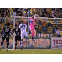 Las Vegas Lights FC goalkeeper Thomas Olsen makes a leaping save