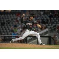 Fayetteville Woodpeckers pitcher Jojanse Torres