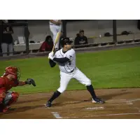 Scott Kelly of the Somerset Patriots