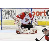 Goaltender Michael Houser with the Cincinnati Cyclones