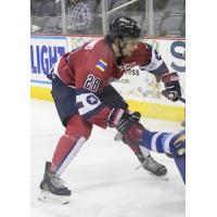 Evansville Thunderbolts defensemen L.J. Fellows