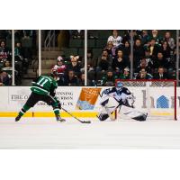Texas Stars vs. the Manitoba Moose
