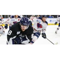 Forward Cam Maclise with the Jacksonville Icemen