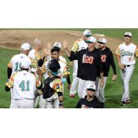Los Patos de Long Island (Long Island Ducks) celebrate a win